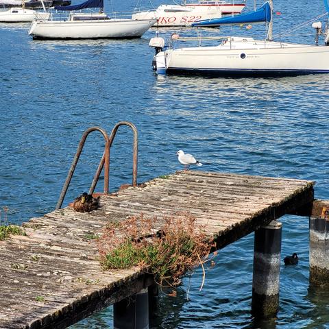 Beschreibung im Tröttext