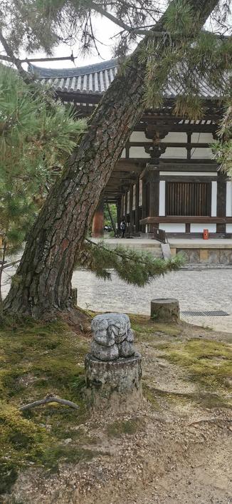 唐招提寺
庭院