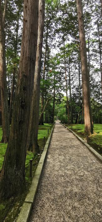 唐招提寺
鉴真御庙
