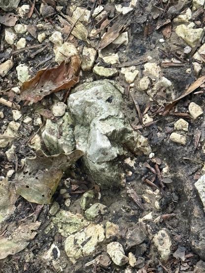 A stone having a profile that resembles that of a face.