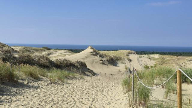 Educational Path of Nagliai Strict Nature Reserve: view of Gray (Dead) Dunes - view towards Baltic Sea