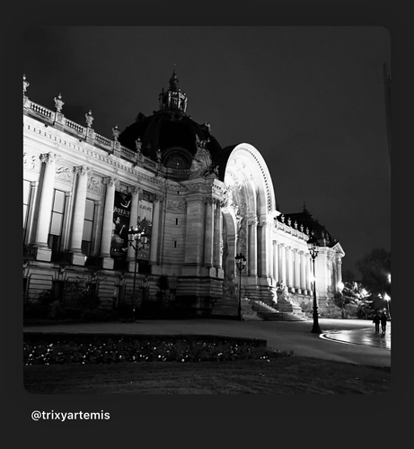 Black and white photo of the Petit Palais in Paris at night, with its illuminated Beaux-Arts façade casting dramatic shadows across the ornate stonework and grand arched entrance, framed by the soft glow of streetlights and a dark sky.