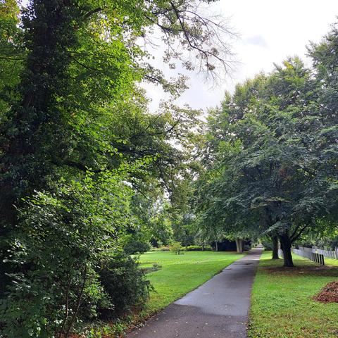 Leerer Friedhofsweg mit grünen Bäumen & Pflanzungen, sowie einigen Grabsäulen