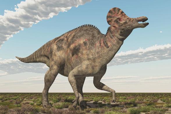 Hollywood ci ha mentito per trent'anni: i dinosauri non ruggivano come mostri, ma cantavano come uccelli. Grazie alla stampa 3D di fossili autentici e sensori avanzati, oggi possiamo finalmente sentire le "voci" di creature estinte 66 milioni di anni fa. Un progetto straordinario che trasforma teschi fossilizzati in strumenti musicali funzionanti, rivelando conversazioni dolci al posto dei ruggiti cinematografici.