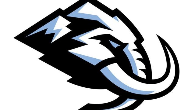 Utah Mammoth files lawsuit in trademark dispute with hockey equipment bag manufacturer
