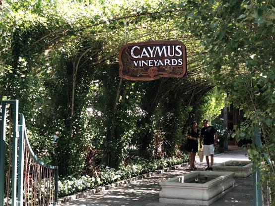 Where to eat, drink, tee it up & relax in Napa Valley during Procore Championship