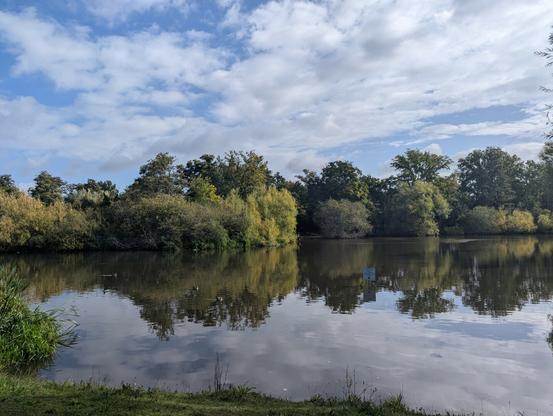 View across a large pond with mature trees on the other side. The trees and partly cloudy sky are reflected in the smooth surface of the water.