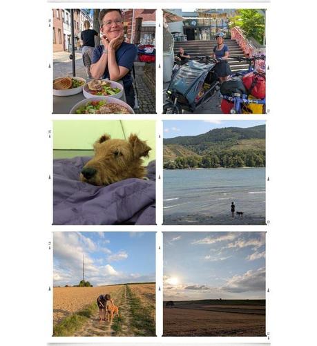 Die Collage zeigt sechs Fotos: Oben links ist eine Frau an einem Tisch mit mehreren bunten Gerichten in einer Altstadt zu sehen. Rechts daneben steht die Frau mit Helm und zwei vollbelade Fahrräder vor einer breiten Treppe. In der Mitte links liegt ein brauner Hund gemütlich iim Schlafsack. Von ihm ist nur der Kopf zu sehen. Rechts stehen eine Person und ein Hund am flachen Ufer eines großen Flusses mit Weinbergen im Hintergrund. Unten links gehen eine Person und ein Hund auf einem Weg durch goldene Felder und auf dem letzten Foto unten rechts ist eine weite, abendliche Landschaft mit Feldern und Wolkenhimmel abgebildet.