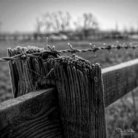 A frosty wooden fence post and fence