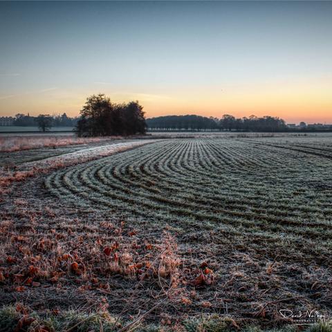 Morning frost in the furrows in a ploughed field