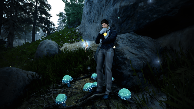 Das Bild ist ein Screenshot aus dem Online-Spiel Black Desert Online, der eine verträumte Waldszene bei gedämpftem Licht zeigt. Im Vordergrund steht eine männliche Spielfigur, gekleidet in einen eleganten, schwarzen Anzug und ein weißes Hemd. Er wirkt nachdenklich, fast als ob er über etwas Grübelt oder eine Entdeckung gemacht hat. Um ihn herum erstreckt sich eine dichte, grüne Vegetation, durchsetzt mit leuchtenden, blauen Pilzen, die die Szene mit einem magischen Schein beleuchten und eine surreale Atmosphäre schaffen. 

Das Gelände ist hügelig und mit Felsen durchzogen, und es gibt eine größere Vielfalt an Bäumen im Hintergrund, die sich bis zu einem bewölkten Himmel erstrecken. Es scheint sich um eine abgelegene, fast vergessene Ecke der Spielwelt zu handeln, die von einer Aura der Ruhe und des Geheimnisses umgeben ist. Eine kleine, schimmernde Fee schwebt in der Nähe der Spielfigur und verstärkt das Gefühl von Magie und Wunder. Der Fokus der Szene liegt auf dem Kontrast zwischen der eleganten Figur im Anzug und der rohen, natürlichen Schönheit des Waldes, was eine interessante Spannung erzeugt. Insgesamt vermittelt das Bild eine friedliche, aber auch rätselhafte Stimmung, die den Betrachter dazu einlädt, die Welt des Spiels zu erkunden und ihre Geheimnisse zu entdecken.