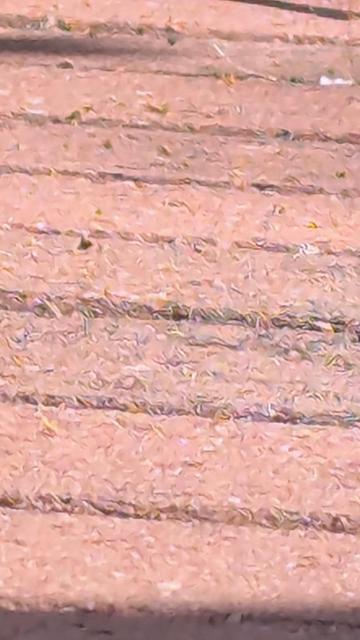 A cropped image taken on a cell phone, demonstrating the artificial textures added to the image by the AI processing now prevalent in all modern cell phone pictures. It looks as if severe heat haze had been imitated using a thick-paint spatula form of impressionist painting.