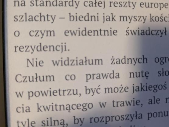 Fragment tekstu książki, gdzie są sformułowania "Nie widziałum żadnych" oraz "czułum co prawda"
