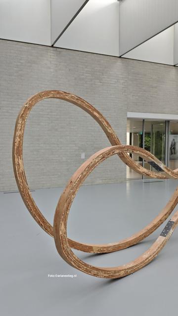 Fotografische uitsnede van de houten gebogen sculptuur van Richard Deacon.

Fotografischer Ausschnitt der hölzernen Skulptur von Richard Deacon 

Richard Deacon: Blind, Deaf and Dumb (A) 1985; hout, lijm & staal