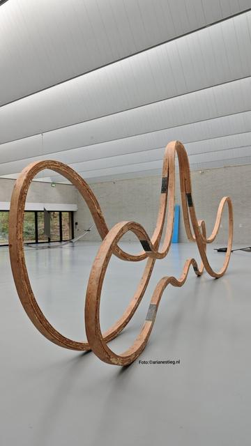 Houten, gebogen sculptuur van Richard Deacon. Deze is vrij overzichtelijk. Hij heeft nog veel complexer sculpturen gemaakt.

Hölzerne, gebogene Skulptur von Richard Deacon. Diese ist relativ überschaubar. Er hat noch viel komplexere Skulpturen gemacht

Richard Deacon: Blind, Deaf and Dumb (A) 1985; hout, lijm en staal