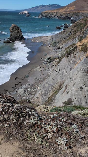 Pacific Ocean on left. Sonoma County coastline on right. Surf rolling in nonstop  like it has for a millennia.
