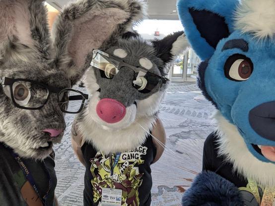 Photograph of three people wearing fursuit heads: a hare with brownish fur and glasses, a red fox with gray fur (and totally not a wolf) with glasses and a pink nose, and a blue coyote with tongue peeking.