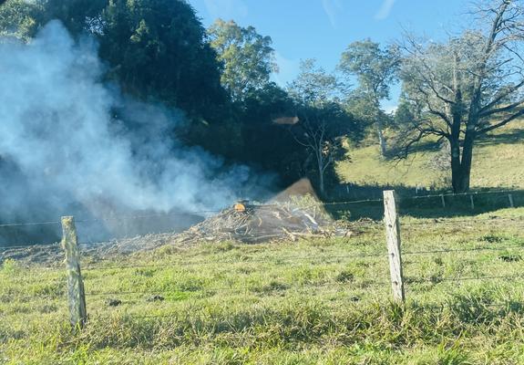 Customary pile burning to make a 'clean slate'  for grazing ungulates, Bellingen