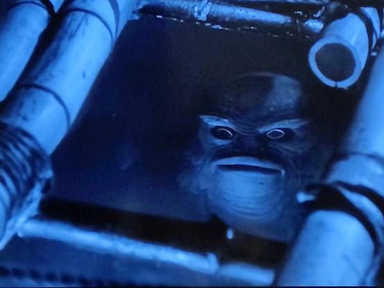 The creature from the black lagoon (a scaly fish-man with very intense eyes) looks through a hole with an expression on his face that is somehow both silly and sinister