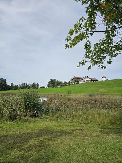 Das Bild zeigt eine idyllische Landschaft mit einem grünen Hügel im Hintergrund, auf dem ein großes, weißes Bauernhaus mit einem roten Dach und ein kleiner, weißer Kirchturm mit einem spitzen Dach stehen. Vor dem Hügel erstreckt sich ein ruhiger See, umgeben von hochgewachsenem Gras und Rieden. Im Vordergrund befindet sich ein grasbewachsener Bereich mit einigen Büschen und Sträuchern. Der Himmel ist leicht bewölkt, was dem Bild eine ruhige und friedliche Atmosphäre verleiht.

Bereitgestellt von @altbot, privat und lokal generiert mit Ovis2-8B

🌱 Energieverbrauch: 0.193 Wh