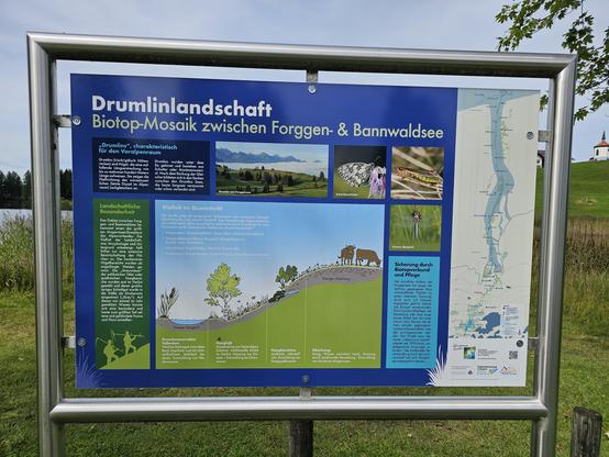Das Bild zeigt eine Informationstafel mit dem Titel "Drumlinlandschaft Biotop-Mosaik zwischen Forggensee & Bannwaldsee". Die Tafel ist in einem silbernen Rahmen montiert und enthält verschiedene Informationen und Bilder. Oben links steht der Titel, gefolgt von einer kurzen Beschreibung der Drumlins, die für den Varspenraum charakteristisch sind. Darunter befinden sich mehrere Bilder, darunter eine Landschaftsansicht, eine Schmetterlingsfotografie und eine Illustration von Drumlins. Ein weiteres Bild zeigt eine Querschnittsdarstellung der Landschaft. In der Mitte der Tafel ist eine Illustration mit einer Kuh auf einem Hügel zu sehen, und darunter sind verschiedene Biotoparten wie "Grasswiesen", "Hanghöhen" und "Oberhang" dargestellt. Rechts auf der Tafel befindet sich ein Textblock über die Sicherung durch Biotopverbund und Pflege, sowie eine Karte der Region. Im Hintergrund ist ein See und ein kleines weißes Gebäude auf einem Hügel zu sehen.

Bereitgestellt von @altbot, privat und lokal generiert mit Ovis2-8B

🌱 Energieverbrauch: 0.271 Wh