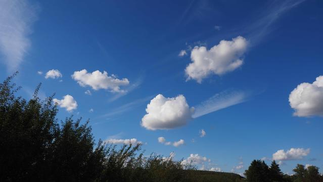 Blauer Himmel mit weißen Wolken, welche an Watte erinnern