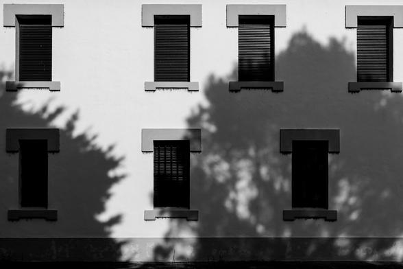 White building facade with six closed windows and tree shadows cast on the wall, creating an artistic black-and-white contrast.