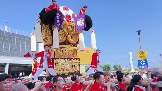 新居浜太鼓祭りをみんなで本気で楽しもう 江口太鼓台、金栄太鼓台入場 2025 9/15