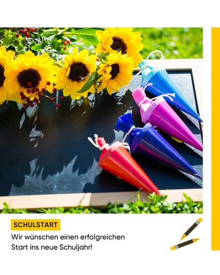 Bild mit Sonnenblumen und Schultüten und dem Hinweis zum Schulstart.