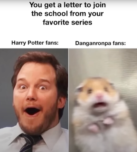 You get a letter to join the school from your favorite series.

Harry Potter fans: [excited face]
Danganronpa fans: [scared hamster]