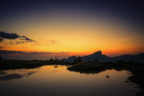Sanfte Hügel und eine Wasserfläche spiegeln die rötlich-goldene Farben eines Sonnenuntergangs. Am Horizont zeichnen sich dunkle Silhouetten von Bergen und einzelnen Bäumen ab. Einige Steinböcke bewegen sich entlang des Ufers und spiegeln sich im ruhigen Wasser. Die Szene wirkt ruhig, der Himmel wird von leuchtendem Orange nahe der Erde bis tiefem Blau nach oben dominiert.
