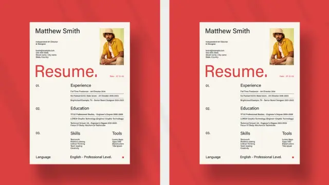 Stylish Adobe InDesign Resume Template by PixWork in A4