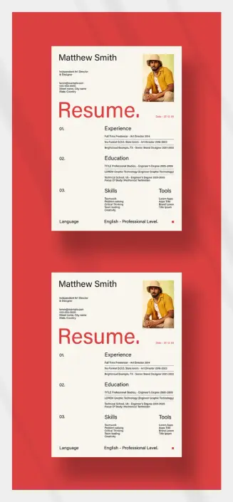 Stylish Adobe InDesign Resume Template by PixWork in A4