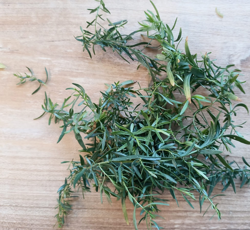 ein Haufen Estragon-Zweige auf dem Tisch