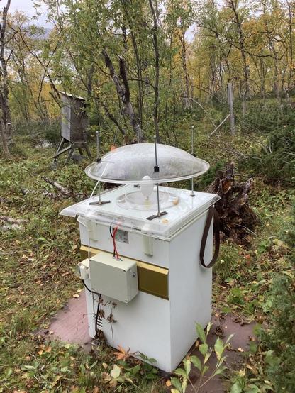 moth catcher (death machine)