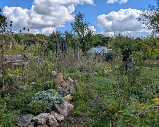 Entlang der Trockenmauer und dem Kräuterbeet fällt der Blick aufs Gewächshaus im Kleingarten. Links steht eine Holzbank.
