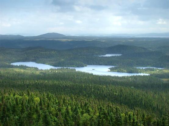 Terra Nova National Park, Central Newfoundland, Canada. View from Ochre Hill.