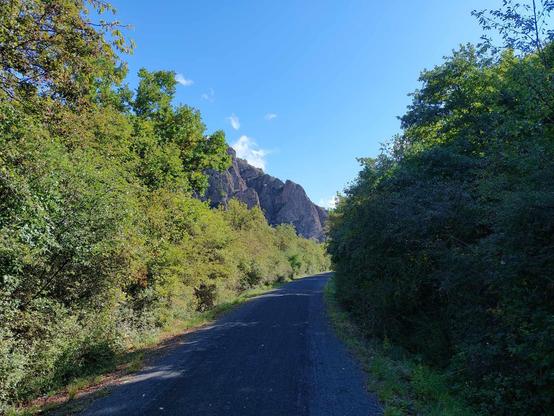 Blick entlang der zum Radweg umgebauten strategischen Glantalbahn. Im Hintergrund ragen hohe nackte Felsen über das Gebüsch des Bahndamms.