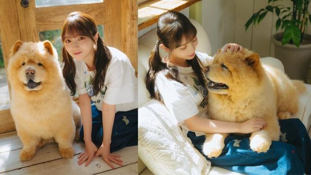 与田祐希さんが遊びに来てくれました！（チャウチャウ｜月刊わんこ撮影オフショット）