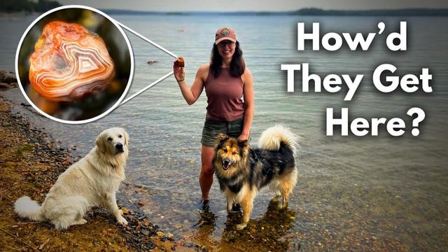 A woman in a baseball cap stands in shallow lake water holding a banded agate while two dogs sit nearby on the rocky shoreline, with a circular inset showing a close-up of the agate's distinctive orange and white bands.
