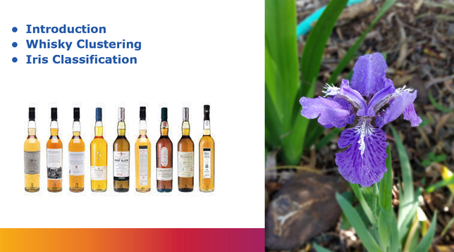 whisky bottles and iris flowers