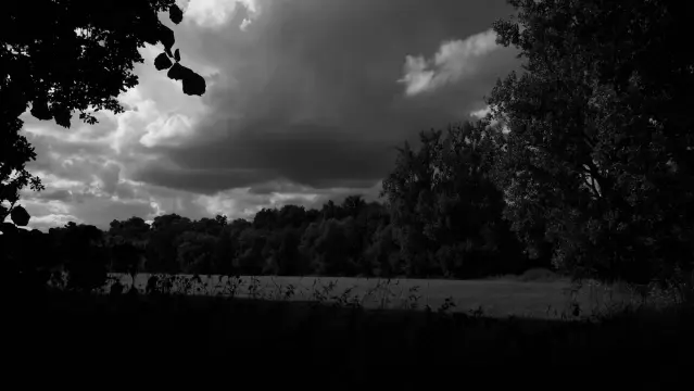 Schwarz weiß
graue dunkle Wolken über Waldrand