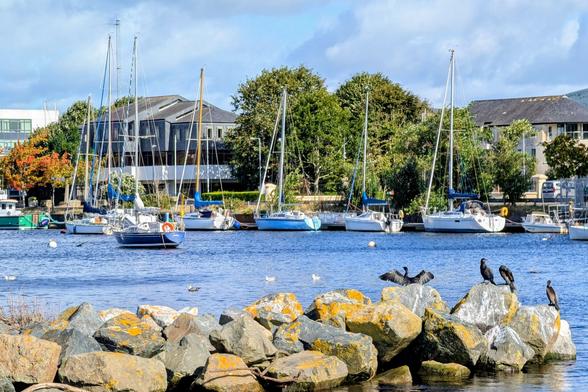 A photograph of several sailboats moored in a harbour on a sunny day. A row of buildings and trees lines the far bank of the water. In the foreground, large, lichen-covered rocks jut out from the water, with several cormorants perched on top, one of which has its wings spread wide to dry them.