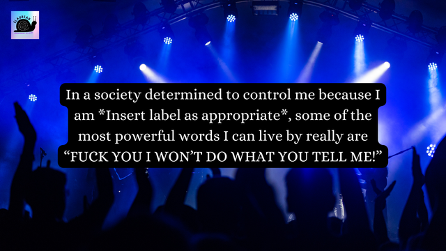 The background is a generic shot of an audience at a gig, with raised hands and blue lights shining from the stage. In a black box in white writing in the middle it says:
In a society determined to control me because I am *Insert label as appropriate*, some of the most powerful words I can live by really are "FUCK YOU I WONT DO WHAT YOU TELL ME!"