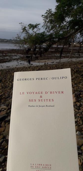 Couverture du livre de Georges Perec/ Oulipo  :
" Le voyage d'hiver & ses suites "
Postface de Jacques Roubaud. 
La Librairie du XXIe siècle. Seuil. 
La photo est prise sur une grève au bord de la mer en Bretagne Nord. La mer est basse et le ciel est gris et voilé.