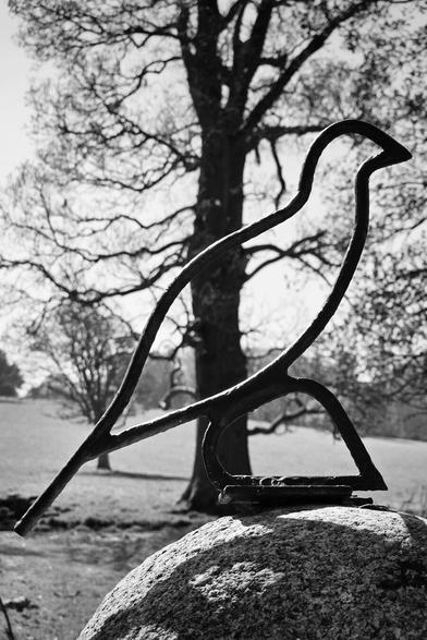 A black and white photo of a simplistic metal bird sculpture perched on a large, textured rock. The sculpture is in the foreground, with its elongated body and tail pointing to the left. The background is slightly out of focus, showing a bare, gnarled tree and a grassy field under a bright sky. The monochrome filter gives the image a timeless and artistic feel.