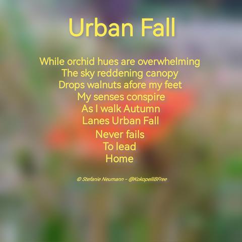 URBAN FALL

While orchid hues are overwhelming
The sky reddening canopy
Drops walnuts afore my feet
My senses conspire
As I walk Autumn
Lanes Urban Fall
Never fails
To lead
Home

© Stefanie Neumann - @KokopelliBFree