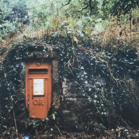 Red letterbox in an overgrown wall.