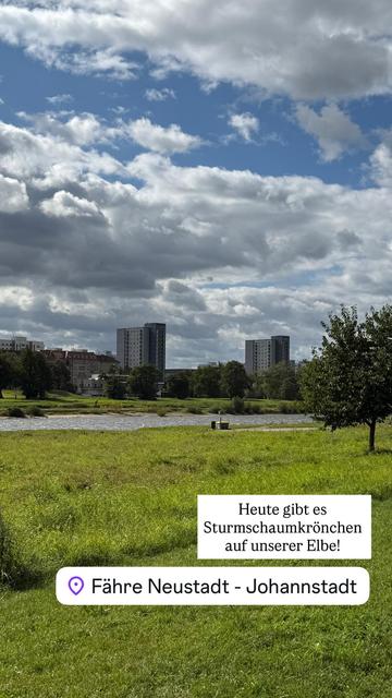 Elbe mit weißen Wellen, Johannstadt Hochhäuser, Elbwiesen, Wolkenschiffhimmel