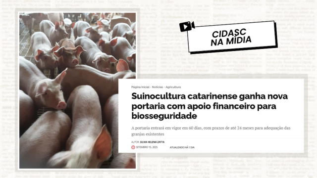 Imagem de capa da notícia, infelizmente por ser um bot hospedado gratuitamente, não consigo gerar texto alternativo!